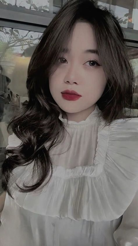 高h视频在线